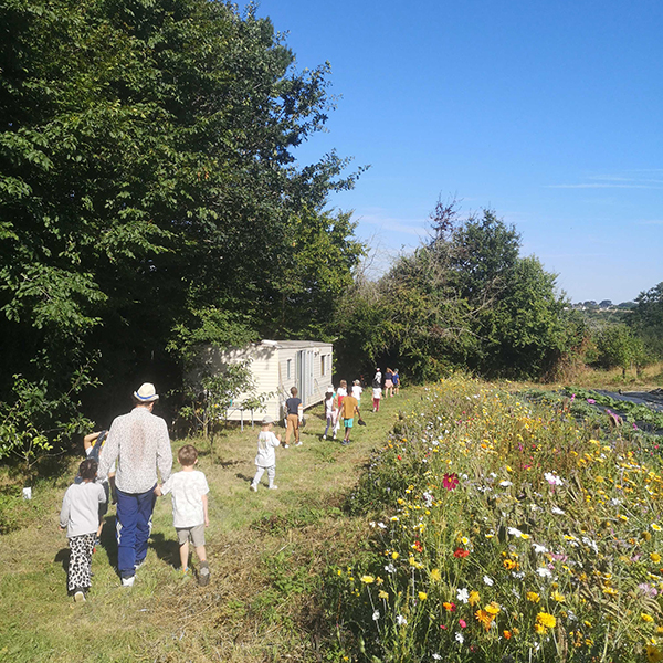 des balades dans l'îlot